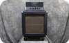 Ampeg B15 1966 Blue Check Tolex