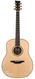 Mcilroy AD20 American Black Walnut Sitka Spruce