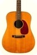 C. F. Martin & Co D-21 1967