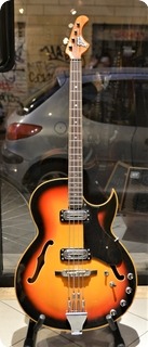 Eko Unknown 1964 Sunburst