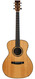 Lakewood M54 Brazilian Rosewood Bearclaw Spruce 1997