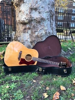 Gibson J50 Museum Quality 1956 Natural