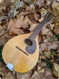 C. F. Martin & Co A Style Mandolin 1950 Natural