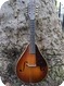 C. F. Martin Co 2 15 Mandolin 1939 Sunburst