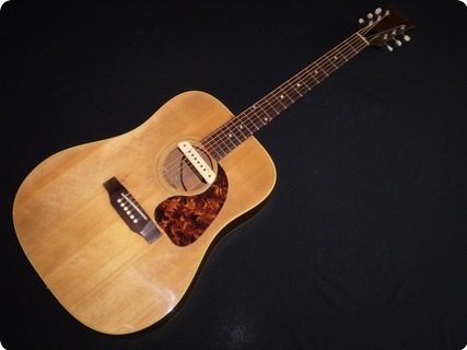 Gibson J50 1969 Natural