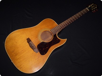 Guild D40c 1979 Natural