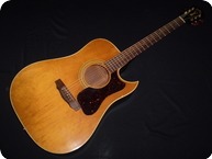 Guild D40C 1979 Natural