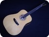 Bsg Guitars D33 Brazilian 2004-Natural