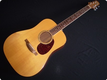 Bourgeois Dreadnought 1994 Natural
