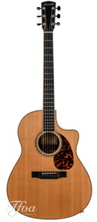 Larrivee Lv09e Indian Rosewood Sitka Spruce 2009