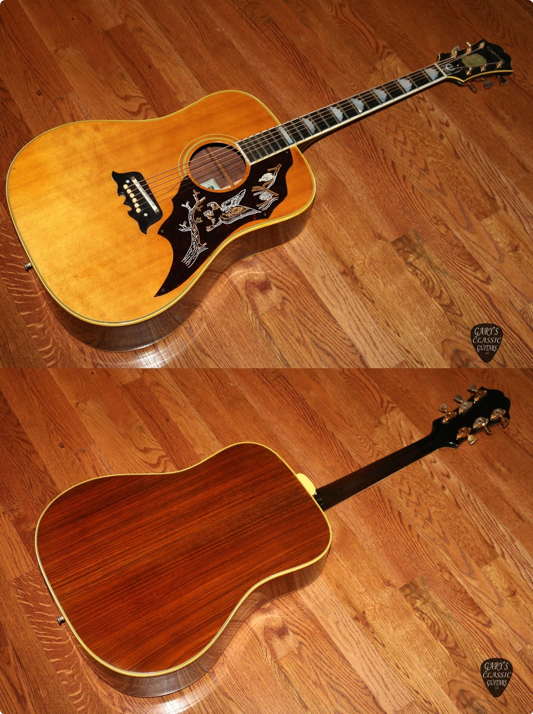 Epiphone Excellente FT 120 (EPA0317) 1967 Guitar For Sale Garys