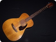 Guild F20 1972 Natural