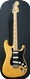 Fender Stratocaster Hardtail  1976