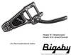Bigsby -  All Models 2020's