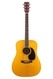 C. F. Martin & Co D-35 1969