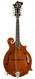 Lebeda F5 Mandolin 2007