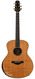 Robert Taylor Style 1 Cocobolo Bearclaw Spruce NAMM 2007 Robert Taylor Style 1 Cocobolo Bearclaw Spruce NAMM 2007