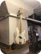 Fender Precision 1917 White