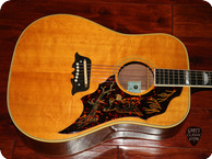 Epiphone Excellente 1966