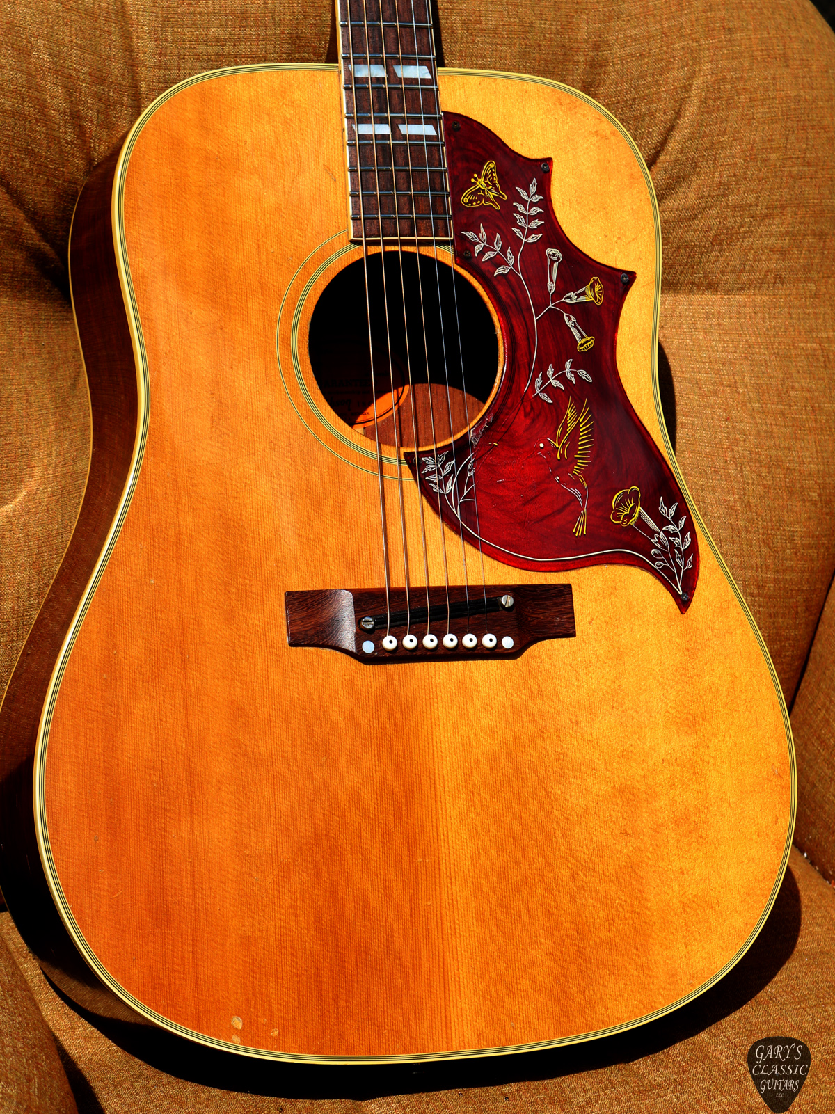 gibson hummingbird