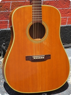 Martin D 28 Thin Body Prototype 1965 Brazilian Rosewood 