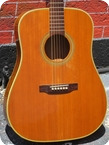 Martin D 28 THIN BODY PROTOTYPE 1965 Brazilian Rosewood