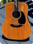 Martin D 35 1970 Brazilian Rosewood