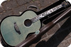 Takamine Ltd 2020 2020-Olive Greeb