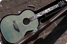 Takamine Ltd 2020 2020 Olive Greeb