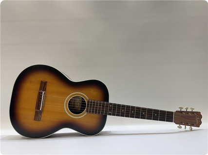 Bjarton Flattop Sunburst