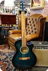 RICHWOOD RW 02 Cutaway And Electronics Translucent Blue