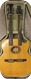 Washburn EA220 Double Neck Acoustic 1997