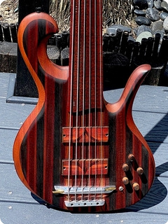 Pete Hilton 6 String Fretless  2017 Snakewood 