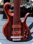 Pete Hilton 6 String Fretless 2017 Snakewood