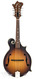 Gibson F9 Satin Vintage Brown Mandolin Satin Vintage Brown