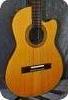 Gibson Chet Atkins Nylonstring Solidbody 1983 Gibson Chet Atkins Nylonstring Solidbody 1983