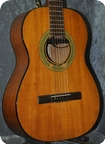 Gibson C1 E . CITES Certificate Incl. 1961