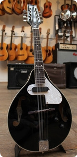 Tanglewood 2019 Twmt Bkp E Mandolin Union 2019