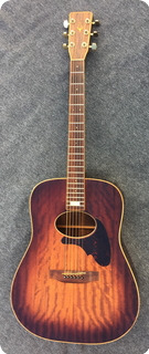 Daion The 80 1983 Sunburst Flammed