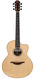 Lowden F32SE Stage Edition Rosewood Spruce