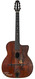 Selmer Petite Bouche Django Set Stimer Pickup & Amp 1948 Selmer Petite Bouche Django Set Stimer Pickup & Amp 1948
