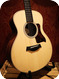 Taylor GS Mini e Rosewood