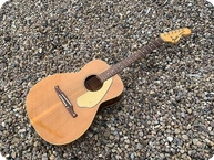 Fender Redondo Acoustic 1969 Natural