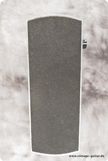 Ernie Ball Ernie Ball Silver
