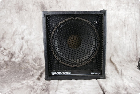 Polytone Mini Brute Ii Black Tolex