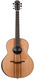 Lowden F50 African Blackwood Cedar