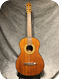 Melody Guitars Italy 450 1980-Natural