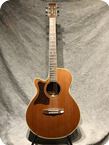 Tanglewood TW45NSLHB 2006