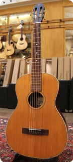 Crafton Folk Steel String