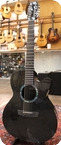 Rainsong BI WS3000